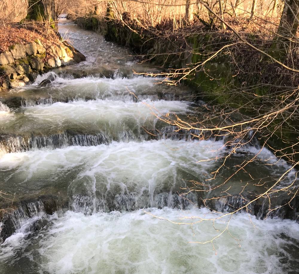 Michael Buchmann erlebte drei Entlassungen im fortgeschrittenen Alter. Dank grosser Resilienz schaffte er immer wieder auf die Beine zu kommen, ja sogar daran innerlich zu wachsen 